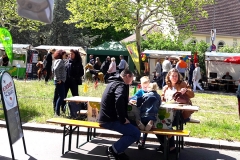 Fruehling-in-Westend_j