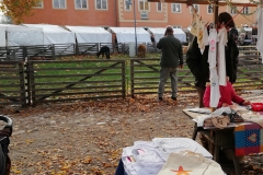 Textilhandwerksmarkt-Domäne-Dahlem_2018_2