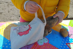 Domaene_Kartoffelfest-2024