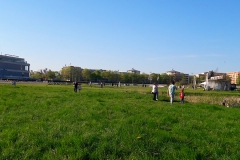 Trabrennbahn-Mariendorf_10