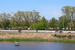 Trabrennbahn-Mariendorf_16